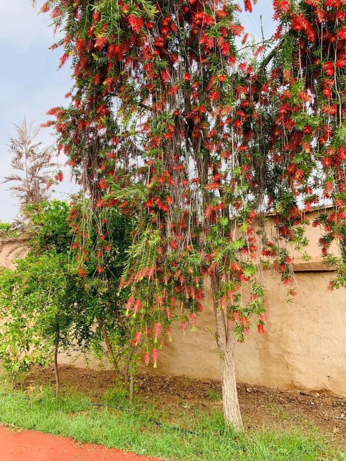 Villa Yanii Siin Marrakesh Exterior foto
